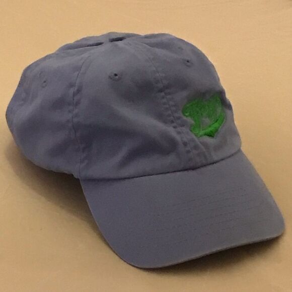 Puerto Vallarta Light Blue & Green Frogs Baseball Hat - Picture 5 of 16